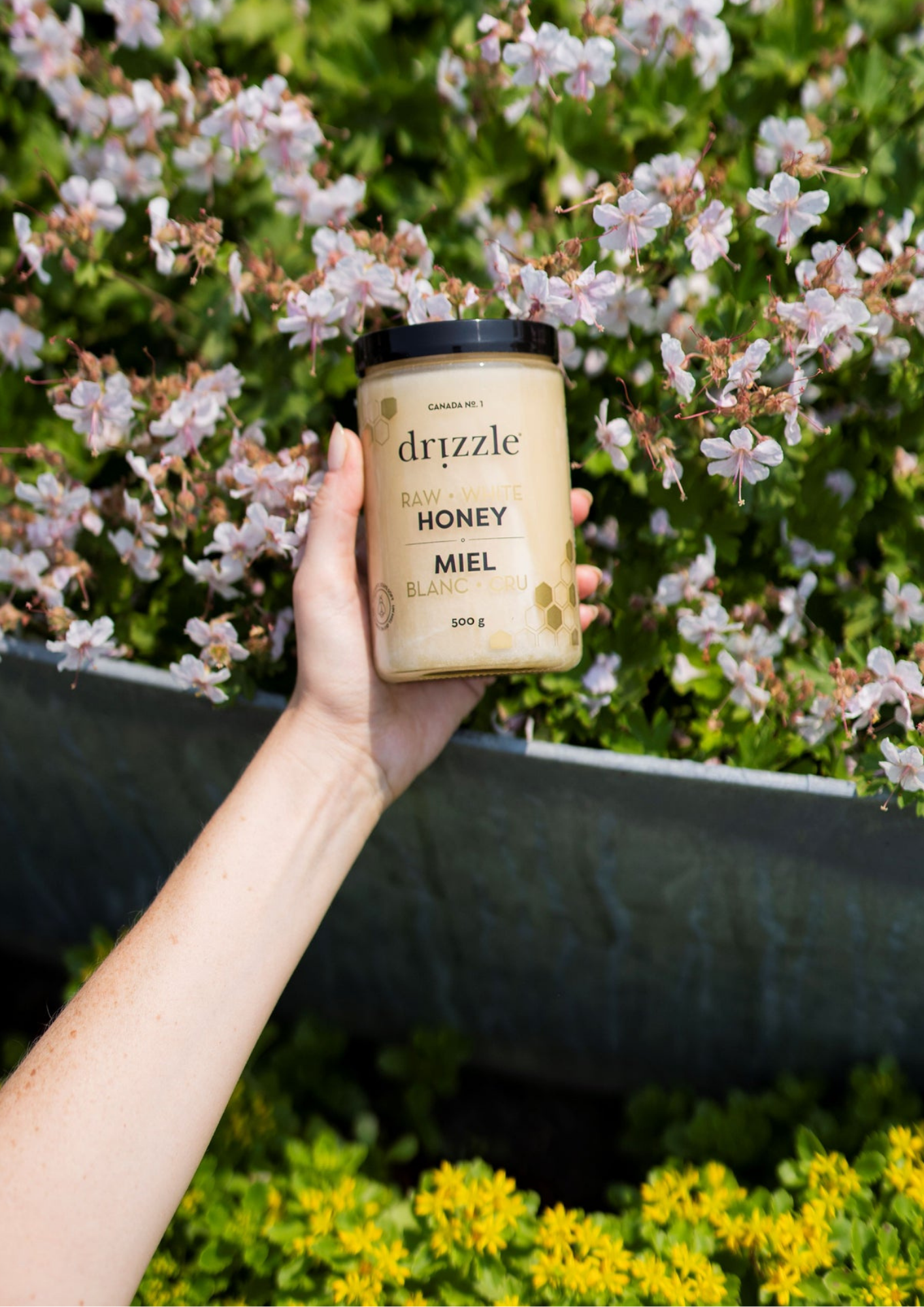 Golden & White Raw Honey (4 Pack)
