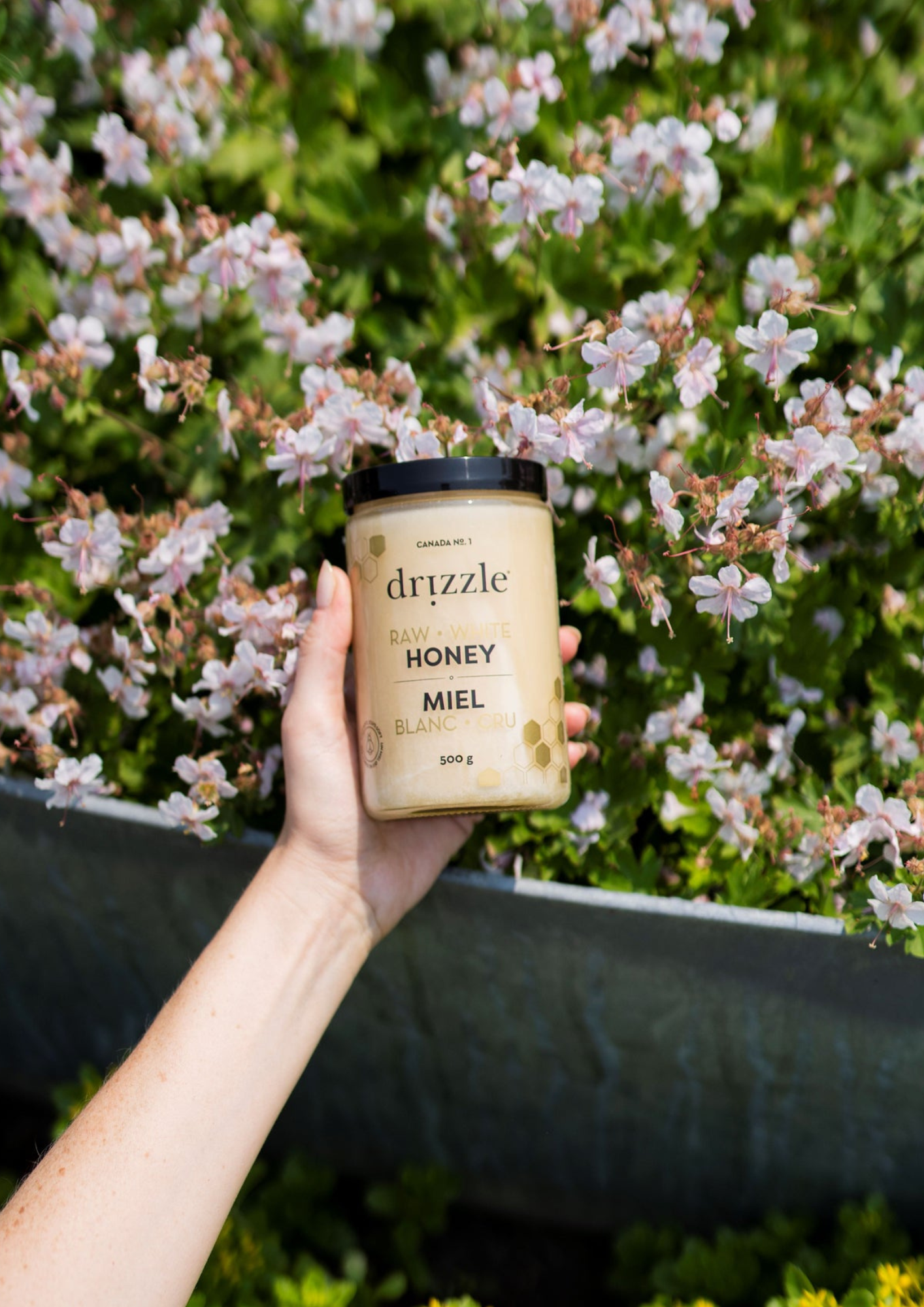 White Raw Honey