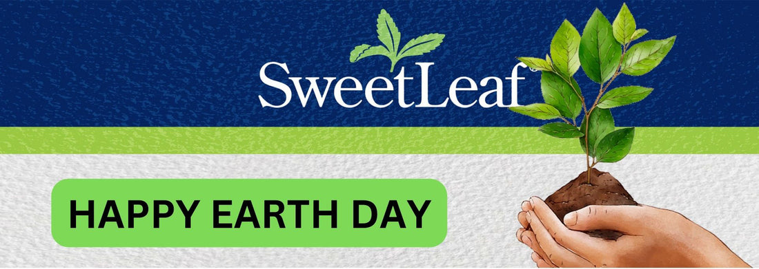 Easy tips to reduce your waste and celebrate Earth Day
