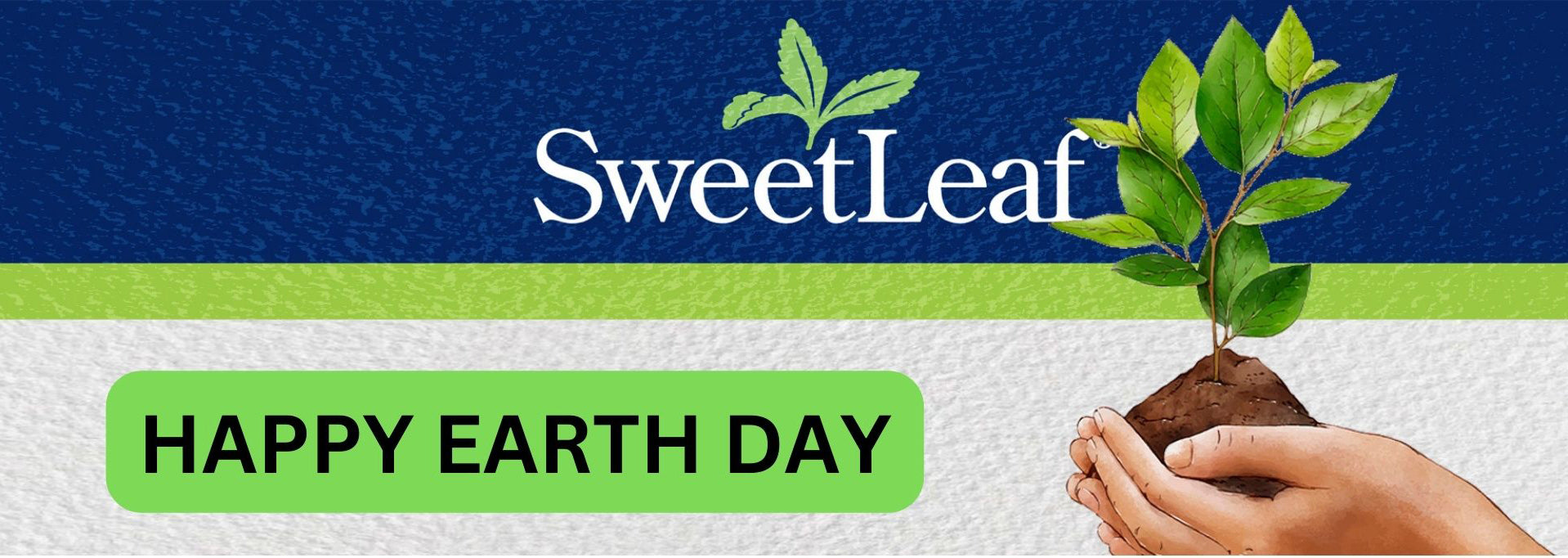 Easy tips to reduce your waste and celebrate Earth Day