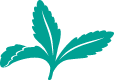 sweetleaf logo, a cartoon stevia plant sprig