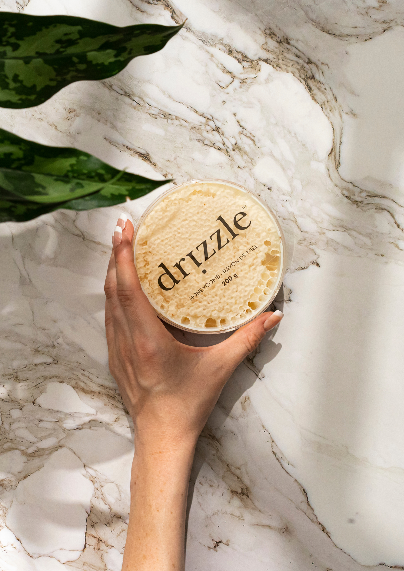 Everyday Honey Bundle