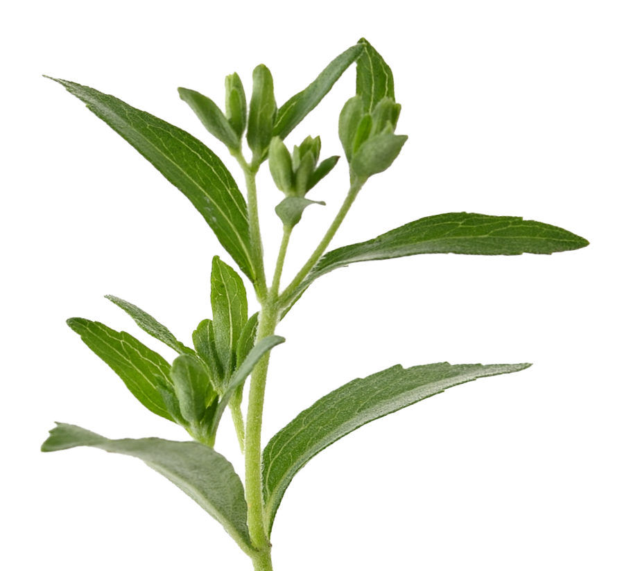 Greensweet Stevia Édulcorant liquide Vanille